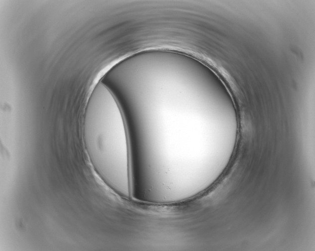 X0000091231529200708091104