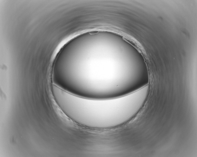 X0000091231530200708091104