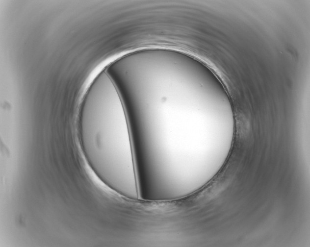 X0000091231531200708091104