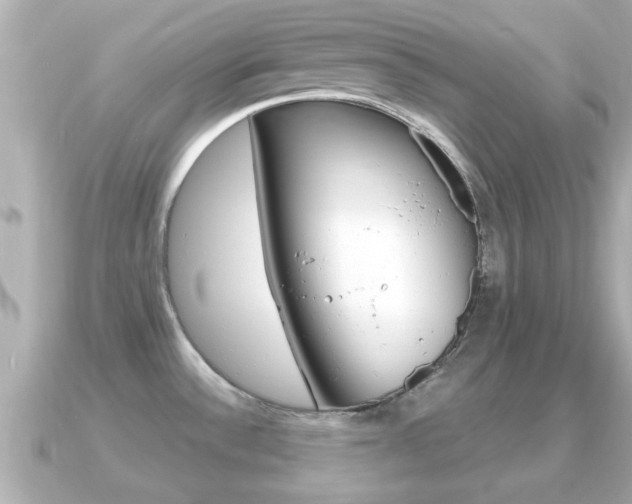 X0000091231532200708091104
