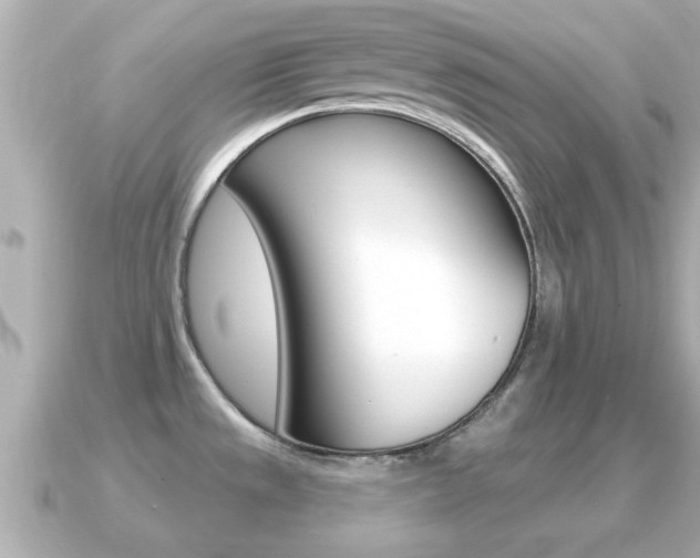 X0000091231533200708091104