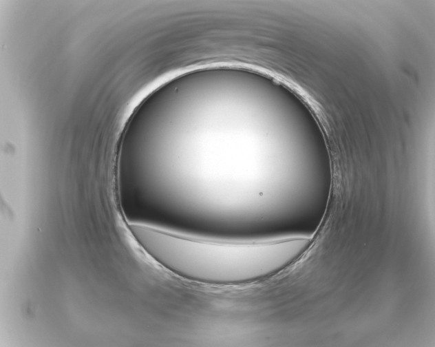 X0000091231534200708091104