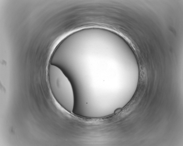 X0000091231535200708091104