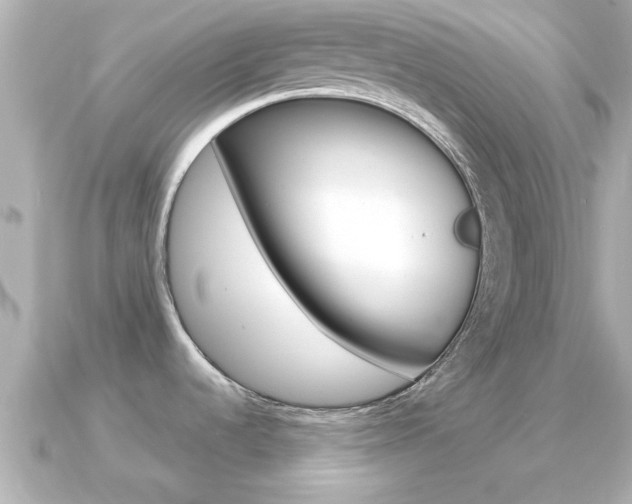 X0000091231536200708091104