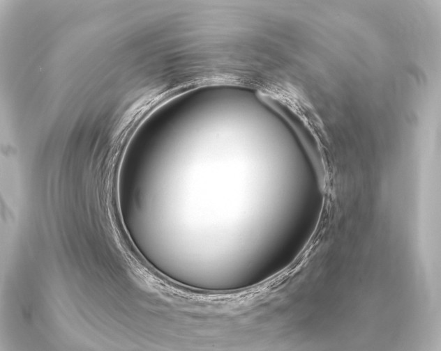 X0000091230001200708091426
