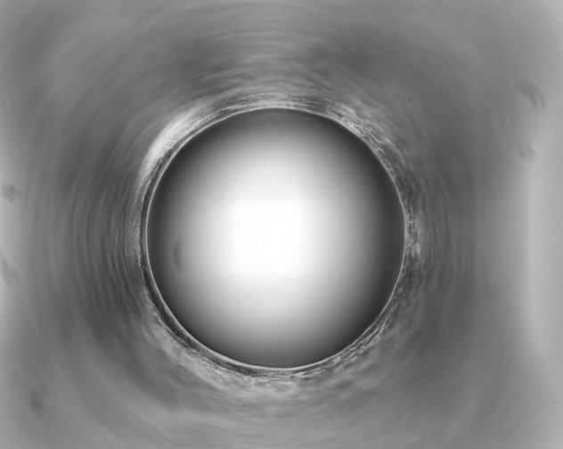 X0000091230004200708091426