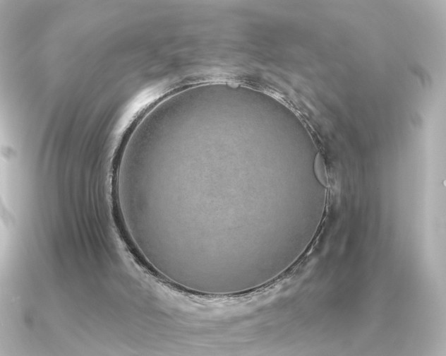 X0000091230006200708091426