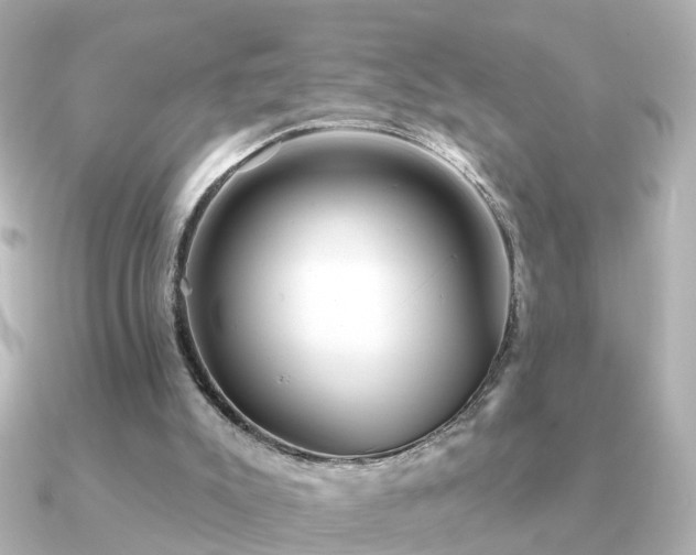 X0000091230007200708091426