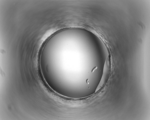 X0000091230008200708091426