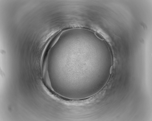 X0000091230009200708091426