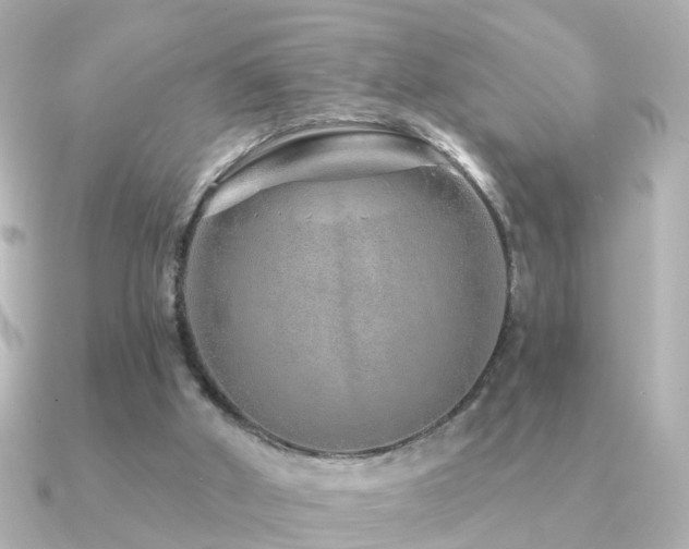 X0000091230010200708091426