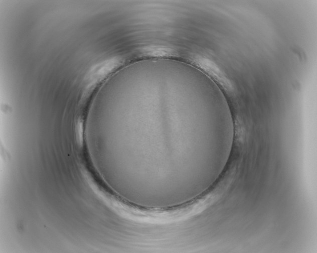 X0000091230014200708091426
