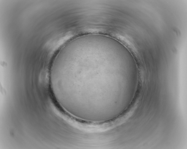 X0000091230016200708091426
