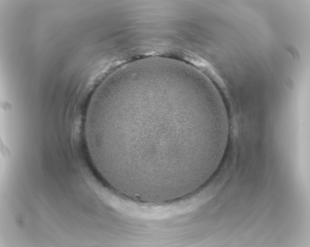 X0000091230018200708091426
