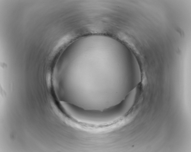 X0000091230019200708091426
