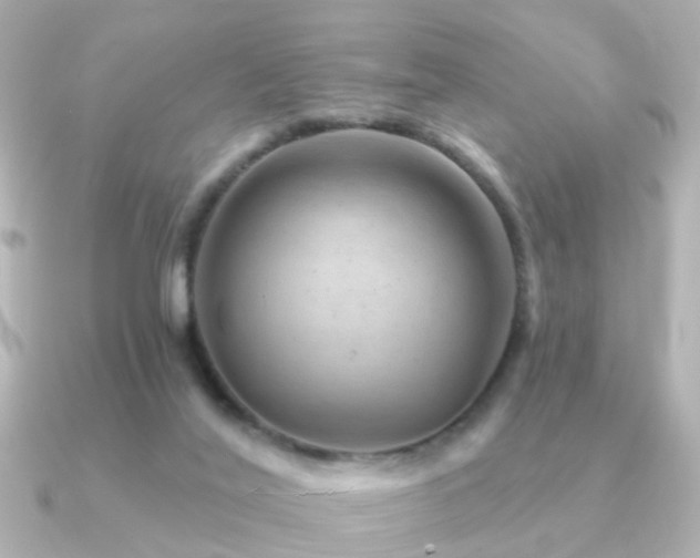 X0000091230020200708091426