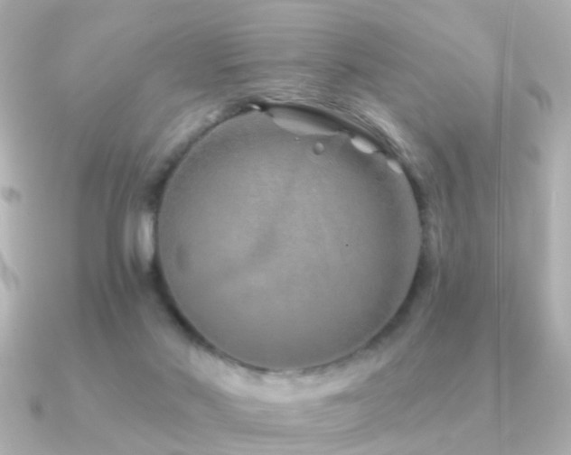 X0000091230022200708091426