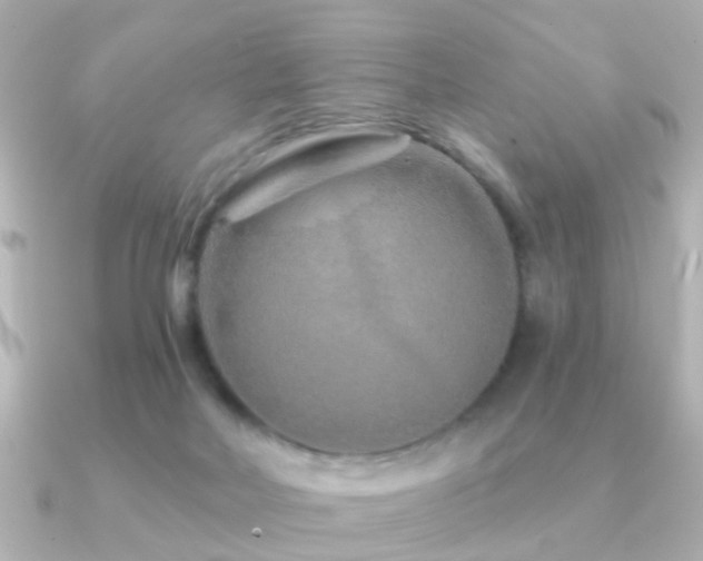 X0000091230026200708091425