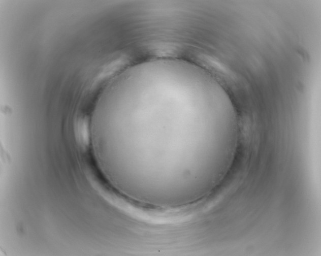 X0000091230028200708091425