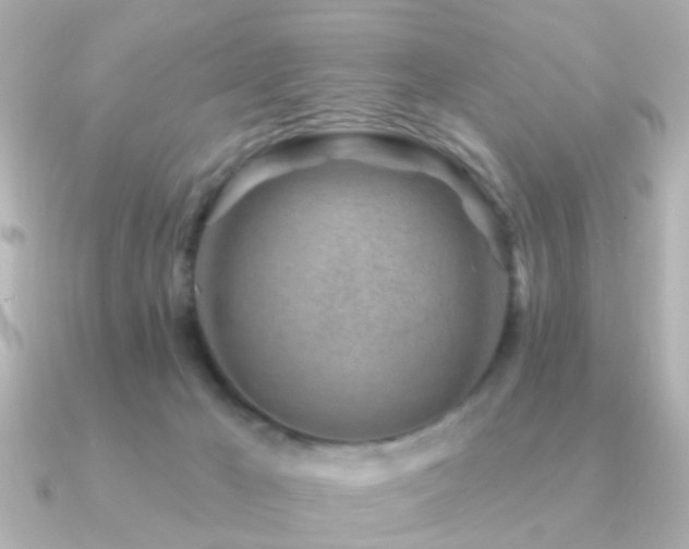 X0000091230029200708091425