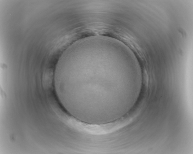 X0000091230030200708091425