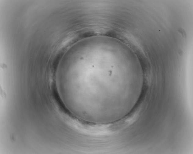 X0000091230032200708091425