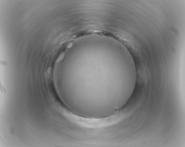 X0000091230034200708091425