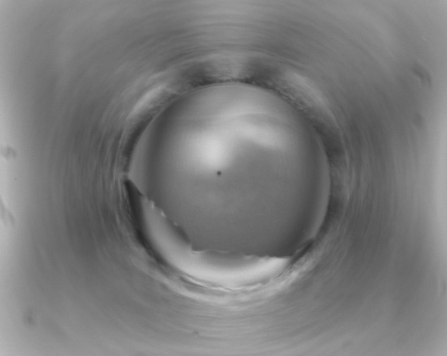 X0000091230035200708091425