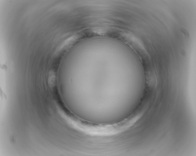 X0000091230036200708091425