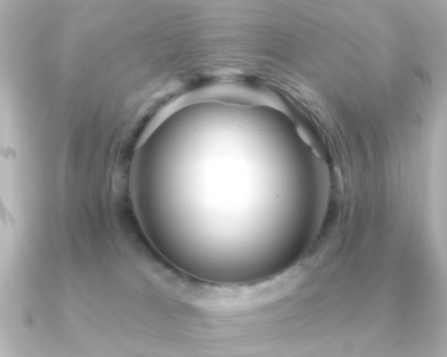X0000091230037200708091425