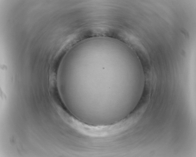 X0000091230038200708091425