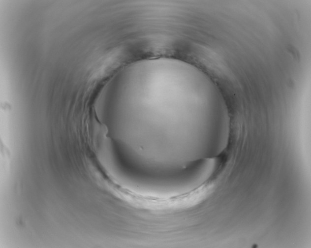 X0000091230039200708091425