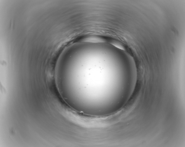 X0000091230040200708091425