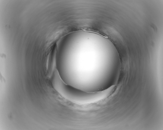 X0000091230041200708091425