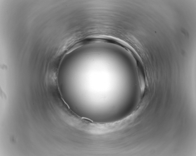 X0000091230045200708091425