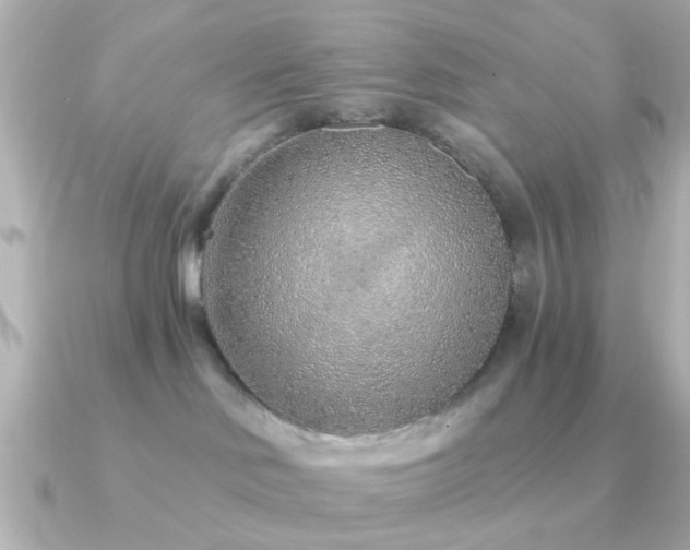 X0000091230046200708091425