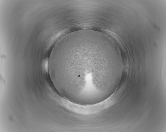 X0000091230047200708091425