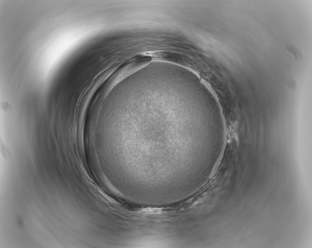 X0000091230052200708091425