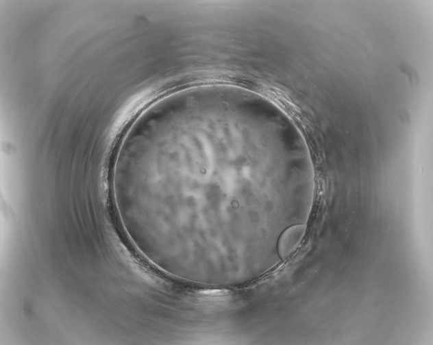 X0000091230053200708091425