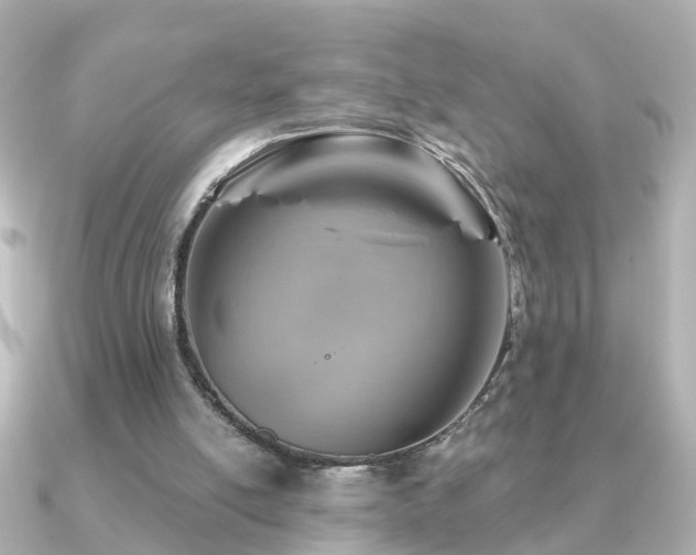 X0000091230054200708091425