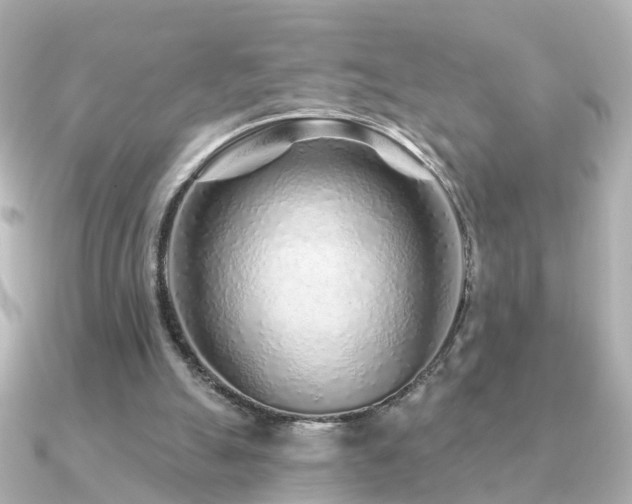 X0000091230055200708091425