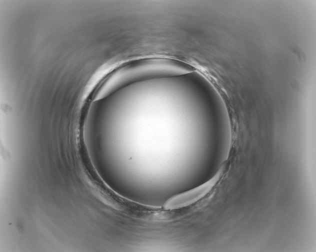X0000091230056200708091425