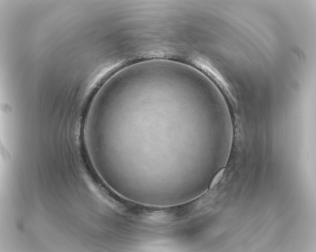 X0000091230058200708091425