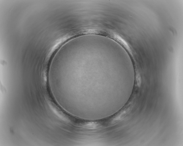 X0000091230059200708091425