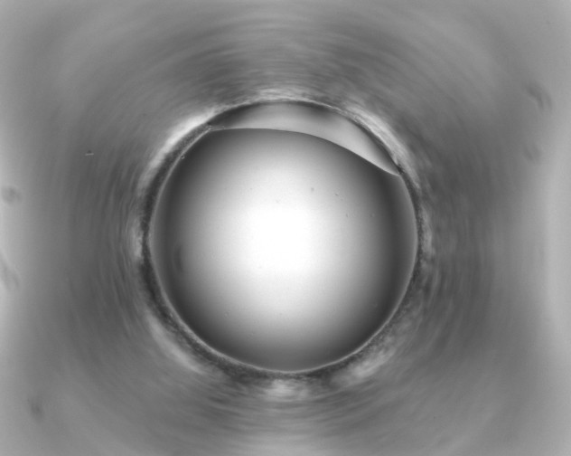 X0000091230060200708091425