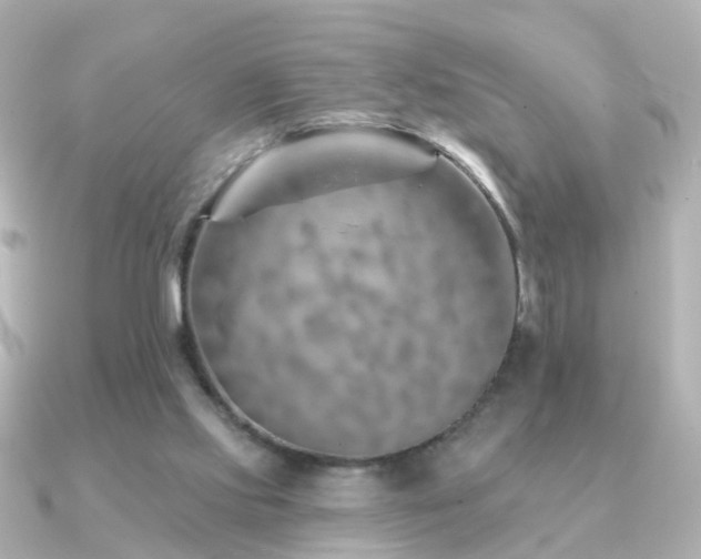 X0000091230061200708091425