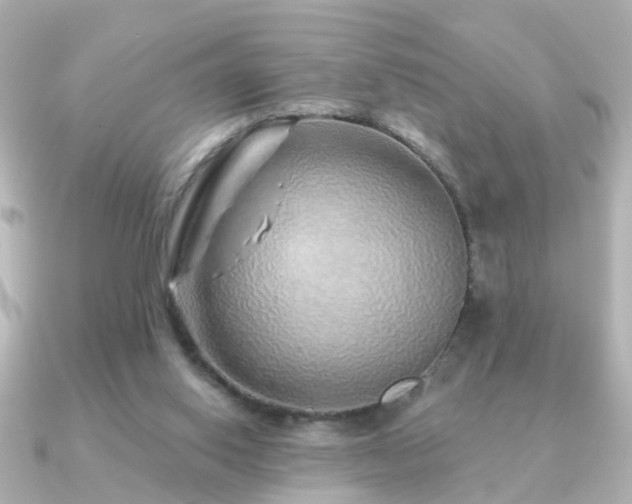X0000091230062200708091425
