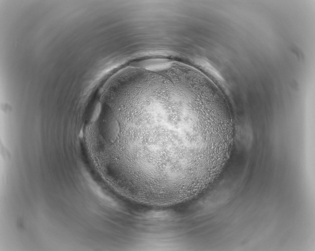 X0000091230063200708091425