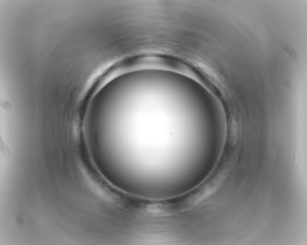 X0000091230064200708091425