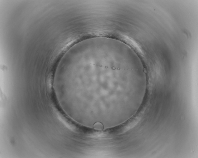 X0000091230065200708091425